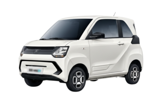 Fengon Mini EV